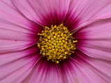 1012PICT0002 TW212 SH2