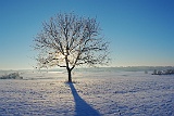 0118K5P 0030-56 AW GH TL NW5 AS4