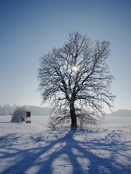 0121K5P_0080_AW_GH_TL_TW_NW5