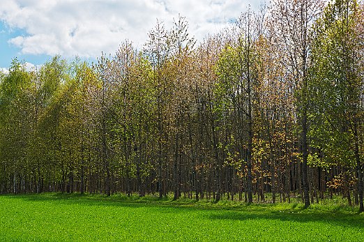 0505K3P_0070_GHK2_TL2_TW_Fs