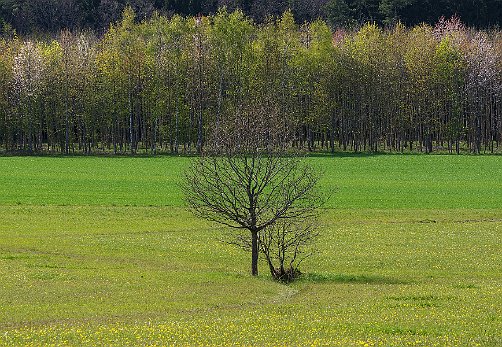 0505K3P_0084_TW_UF1_AS1
