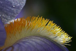 Natur - Strukturen