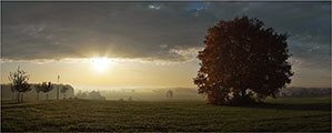 Herbstliche Lichtstimmung mit Baum